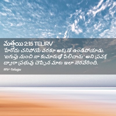 Picture 02 - మత్తయి 2:15 TELIRV - హేరోదు చనిపోయే - Bible Verse Picture