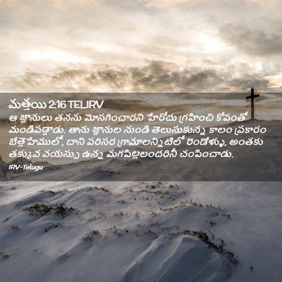 Picture 02 - మత్తయి 2:16 TELIRV - ఆ జ్ఞానులు తనను - Bible Verse Picture