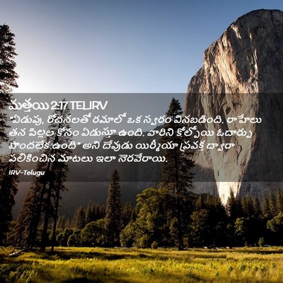 Picture 02 - మత్తయి 2:17 TELIRV - “ఏడుపు, రోదనలతో - Bible Verse Picture