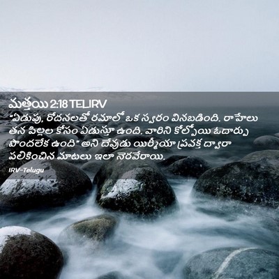 Picture 02 - మత్తయి 2:18 TELIRV - “ఏడుపు, రోదనలతో - Bible Verse Picture
