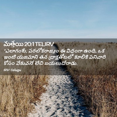 Picture 02 - మత్తయి 20:1 TELIRV - “ఎలాగంటే, - Bible Verse Picture