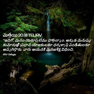Picture 02 - మత్తయి 20:18 TELIRV - “ఇదిగో, మనం - Bible Verse Picture