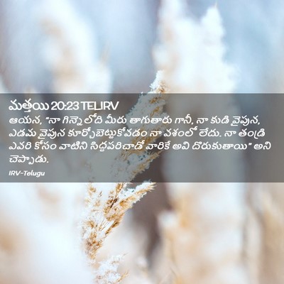 Picture 02 - మత్తయి 20:23 TELIRV - ఆయన, “నా - Bible Verse Picture