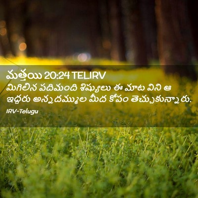 Picture 02 - మత్తయి 20:24 TELIRV - మిగిలిన పదిమంది - Bible Verse Picture