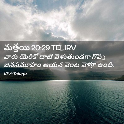 Picture 02 - మత్తయి 20:29 TELIRV - వారు యెరికో దాటి - Bible Verse Picture