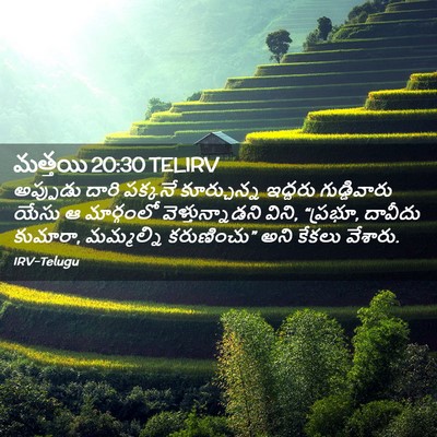 Picture 02 - మత్తయి 20:30 TELIRV - అప్పుడు దారి - Bible Verse Picture