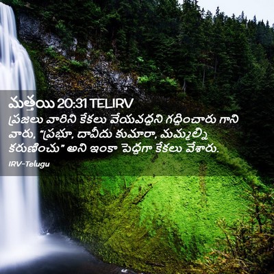 Picture 02 - మత్తయి 20:31 TELIRV - ప్రజలు వారిని - Bible Verse Picture