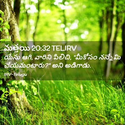Picture 02 - మత్తయి 20:32 TELIRV - యేసు ఆగి, వారిని - Bible Verse Picture
