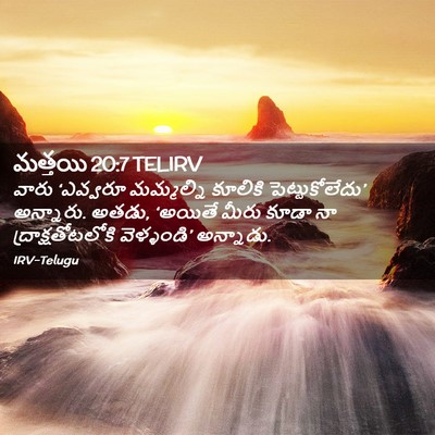 Picture 02 - మత్తయి 20:7 TELIRV - వారు ‘ఎవ్వరూ - Bible Verse Picture