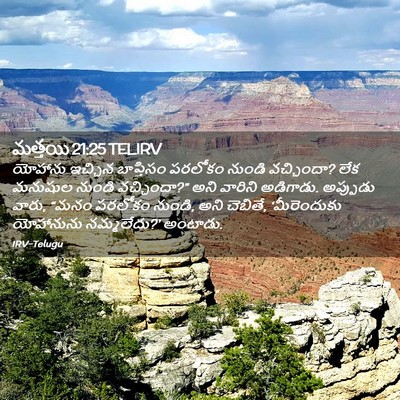 Picture 02 - మత్తయి 21:25 TELIRV - యోహాను ఇచ్చిన - Bible Verse Picture