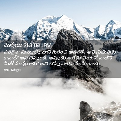 Picture 02 - మత్తయి 21:3 TELIRV - ఎవరైనా మిమ్మల్ని - Bible Verse Picture