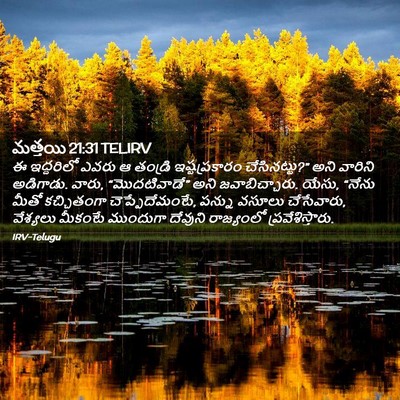 Picture 02 - మత్తయి 21:31 TELIRV - ఈ ఇద్దరిలో ఎవరు ఆ - Bible Verse Picture