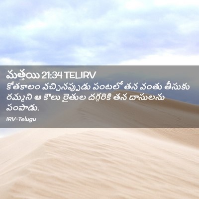 Picture 02 - మత్తయి 21:34 TELIRV - కోతకాలం - Bible Verse Picture