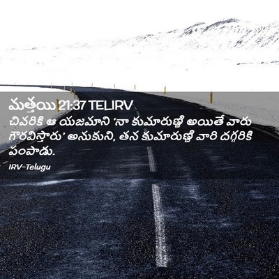 Picture 02 - మత్తయి 21:37 TELIRV - చివరికి ఆ యజమాని - Bible Verse Picture
