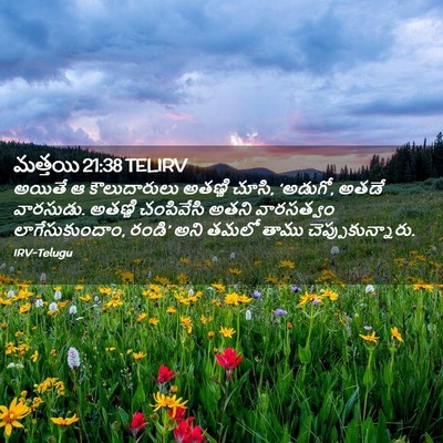 Picture 02 - మత్తయి 21:38 TELIRV - అయితే ఆ - Bible Verse Picture