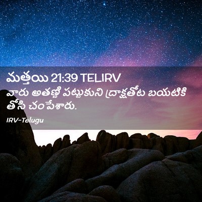 Picture 02 - మత్తయి 21:39 TELIRV - వారు అతణ్ణి - Bible Verse Picture