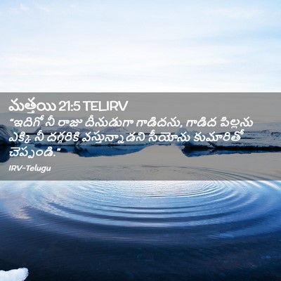 Picture 02 - మత్తయి 21:5 TELIRV - “ఇదిగో నీ రాజు - Bible Verse Picture