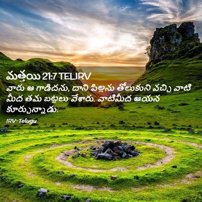Picture 02 - మత్తయి 21:7 TELIRV - వారు ఆ గాడిదను, - Bible Verse Picture