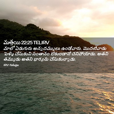 Picture 02 - మత్తయి 22:25 TELIRV - మాలో ఏడుగురు - Bible Verse Picture