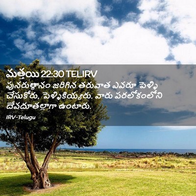 Picture 02 - మత్తయి 22:30 TELIRV - పునరుత్థానం - Bible Verse Picture