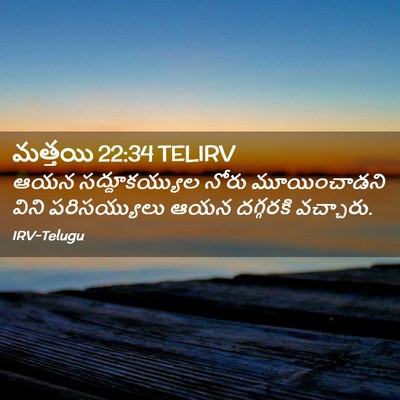 Picture 02 - మత్తయి 22:34 TELIRV - ఆయన సద్దూకయ్యుల - Bible Verse Picture