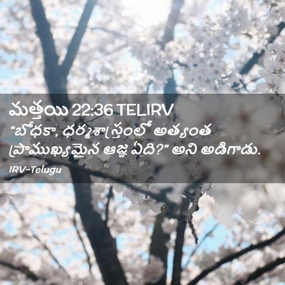 Picture 02 - మత్తయి 22:36 TELIRV - “బోధకా, - Bible Verse Picture