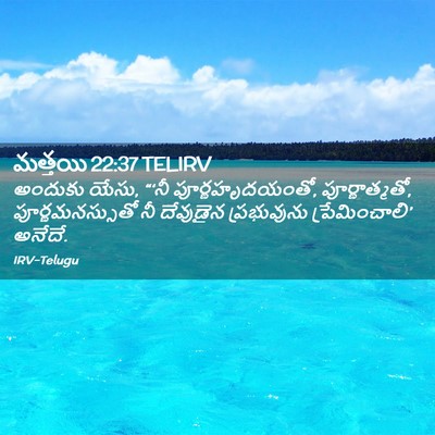 Picture 02 - మత్తయి 22:37 TELIRV - అందుకు యేసు, “‘నీ - Bible Verse Picture