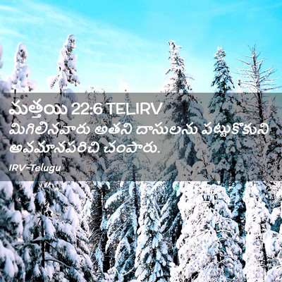 Picture 02 - మత్తయి 22:6 TELIRV - మిగిలినవారు అతని - Bible Verse Picture