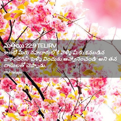 Picture 02 - మత్తయి 22:9 TELIRV - కాబట్టి మీరు - Bible Verse Picture