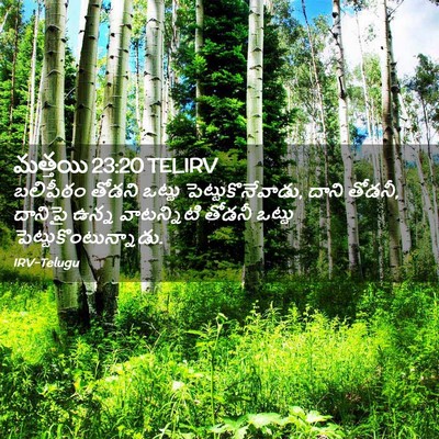 Picture 02 - మత్తయి 23:20 TELIRV - బలిపీఠం తోడని - Bible Verse Picture