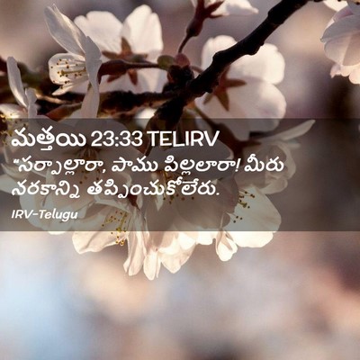 Picture 02 - మత్తయి 23:33 TELIRV - “సర్పాల్లారా, - Bible Verse Picture