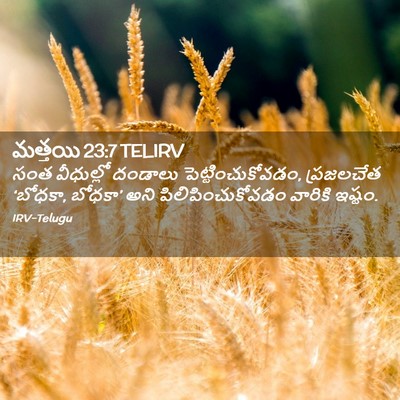 Picture 02 - మత్తయి 23:7 TELIRV - సంత వీధుల్లో - Bible Verse Picture