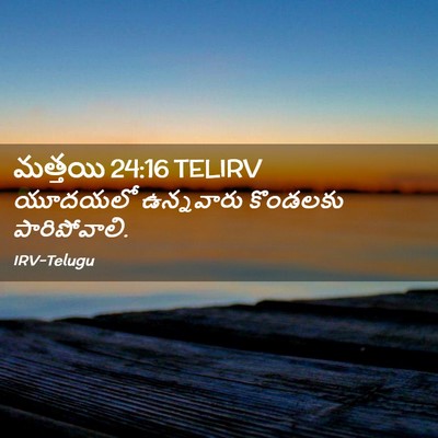 Picture 02 - మత్తయి 24:16 TELIRV - యూదయలో ఉన్నవారు - Bible Verse Picture