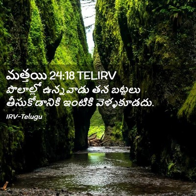 Picture 02 - మత్తయి 24:18 TELIRV - పొలాల్లో ఉన్నవాడు - Bible Verse Picture