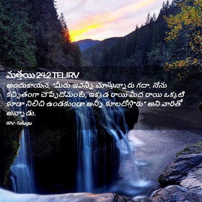 Picture 02 - మత్తయి 24:2 TELIRV - అందుకాయన, “మీరు - Bible Verse Picture