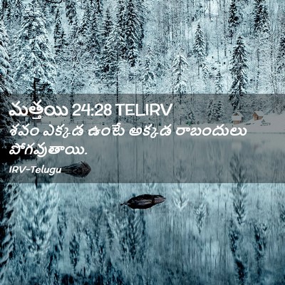 Picture 02 - మత్తయి 24:28 TELIRV - శవం ఎక్కడ ఉంటే - Bible Verse Picture