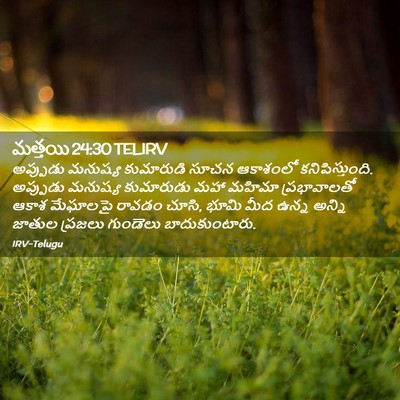Picture 02 - మత్తయి 24:30 TELIRV - అప్పుడు మనుష్య - Bible Verse Picture