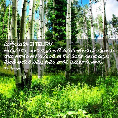 Picture 02 - మత్తయి 24:31 TELIRV - ఆయన గొప్ప బూర - Bible Verse Picture