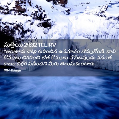 Picture 02 - మత్తయి 24:32 TELIRV - “అంజూరు చెట్టు - Bible Verse Picture