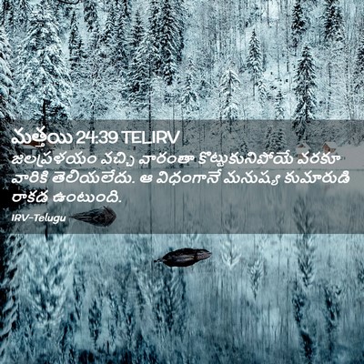 Picture 02 - మత్తయి 24:39 TELIRV - జలప్రళయం వచ్చి - Bible Verse Picture