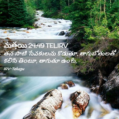 Picture 02 - మత్తయి 24:49 TELIRV - తన సాటి సేవకులను - Bible Verse Picture