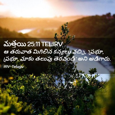 Picture 02 - మత్తయి 25:11 TELIRV - ఆ తరువాత మిగిలిన - Bible Verse Picture