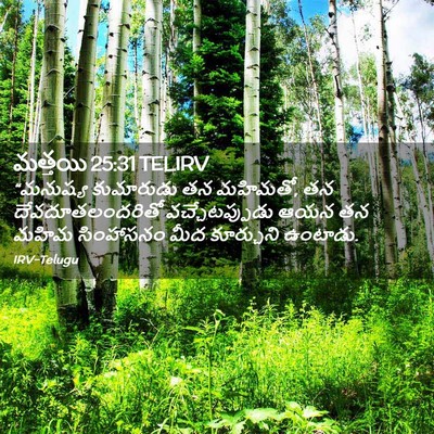 Picture 02 - మత్తయి 25:31 TELIRV - “మనుష్య కుమారుడు - Bible Verse Picture