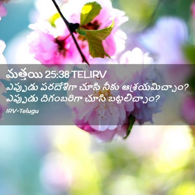 Picture 02 - మత్తయి 25:38 TELIRV - ఎప్పుడు పరదేశిగా - Bible Verse Picture