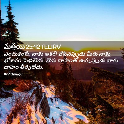 Picture 02 - మత్తయి 25:42 TELIRV - ఎందుకంటే, నాకు - Bible Verse Picture