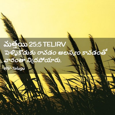 Picture 02 - మత్తయి 25:5 TELIRV - పెళ్ళికొడుకు - Bible Verse Picture