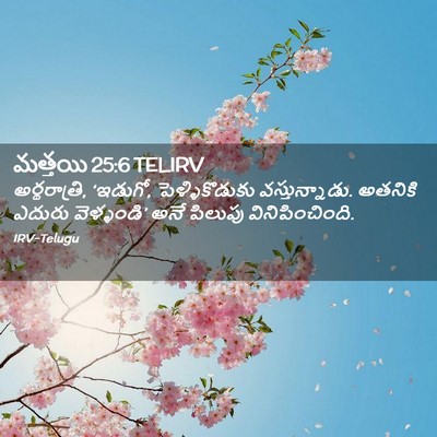 Picture 02 - మత్తయి 25:6 TELIRV - అర్థరాత్రి, - Bible Verse Picture