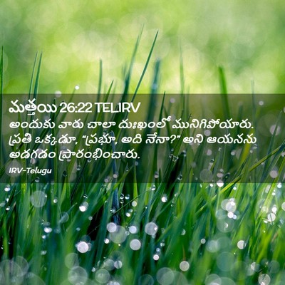 Picture 02 - మత్తయి 26:22 TELIRV - అందుకు వారు చాలా - Bible Verse Picture