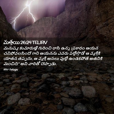 Picture 02 - మత్తయి 26:24 TELIRV - మనుష్య కుమారుణ్ణి - Bible Verse Picture