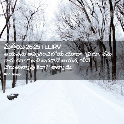 Picture 02 - మత్తయి 26:25 TELIRV - ఆయనను - Bible Verse Picture